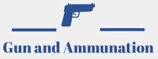 Gun And Ammunition 